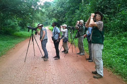 uganda tour guide